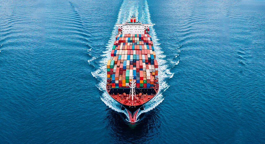 Transrcl Logistics Fast Service Ocean Freight Container Shipping